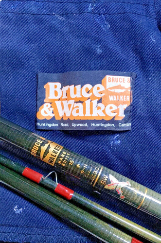Bruce walker expert - &,