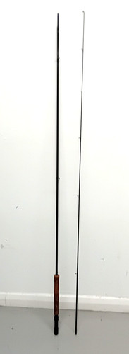 Piece fishing rod - 2-piece,